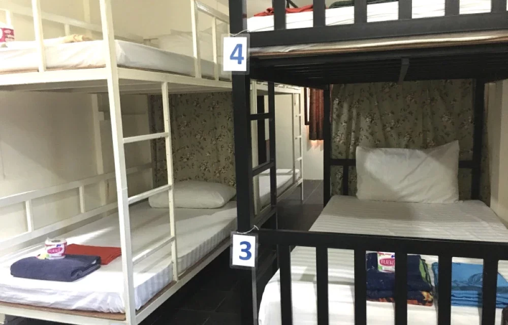 Bunk Bed in Mixed Dormitory Room